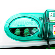 Load image into Gallery viewer, Digital incubator ET 24 with OVOMATIC egg turning unit