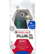 Load image into Gallery viewer, Gerry