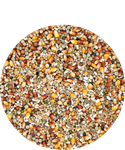 Load image into Gallery viewer, Champion