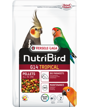 Load image into Gallery viewer, G14 Tropical