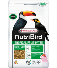 Load image into Gallery viewer, Tropical Fruit Patee