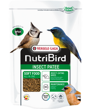 Load image into Gallery viewer, Insect Patee