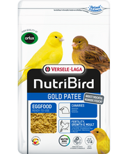 Load image into Gallery viewer, Gold Patee Canaries