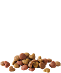Load image into Gallery viewer, Adult with Salmon