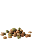 Load image into Gallery viewer, Adult with Lamb