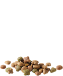 Load image into Gallery viewer, Adult with Beef flavour