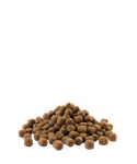 Load image into Gallery viewer, Adult Digestion Mini
