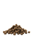 Load image into Gallery viewer, Adult Sterilised/Light Medium & Maxi