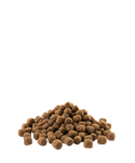 Load image into Gallery viewer, Adult Sterilised/Light Mini