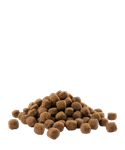Load image into Gallery viewer, Adult Medium