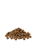 Load image into Gallery viewer, Adult Mini