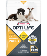 Load image into Gallery viewer, Puppy Medium