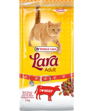 Load image into Gallery viewer, Adult Beef flavour