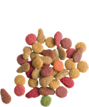 Load image into Gallery viewer, Adult with Salmon