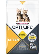 Load image into Gallery viewer, Kitten Chicken