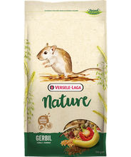 Load image into Gallery viewer, Gerbil