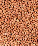 Load image into Gallery viewer, Peanuts