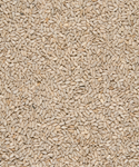 Load image into Gallery viewer, Sunflower Hearts