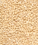Load image into Gallery viewer, Peeled Peanuts