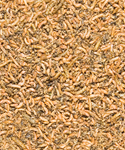 Load image into Gallery viewer, Insect Mix