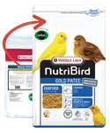 Load image into Gallery viewer, Gold Patee Canaries