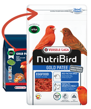 Load image into Gallery viewer, Gold Patee Canaries Red