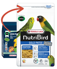 Load image into Gallery viewer, Gold Patee Small Parakeets