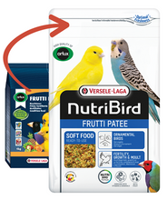 Load image into Gallery viewer, Frutti Patee