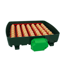 Load image into Gallery viewer, Digital incubator ET 49 with OVOMATIC egg turning unit
