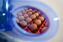 Load image into Gallery viewer, REAL 24 Automatic Incubator