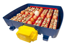 Load image into Gallery viewer, REAL 49 Automatic Incubator
