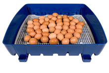 Load image into Gallery viewer, REAL 49 Automatic Incubator