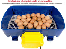 Load image into Gallery viewer, REAL 24 Automatic Incubator