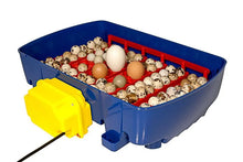 Load image into Gallery viewer, REAL 24 Automatic Incubator