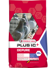 Load image into Gallery viewer, Depure Plus