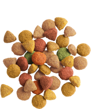 Load image into Gallery viewer, ADULT WITH TURKEY & CHICKEN