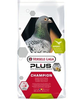Champion