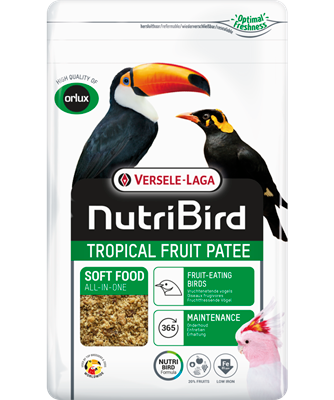 Tropical Fruit Patee