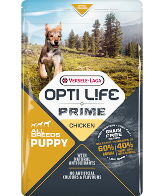 Prime Puppy