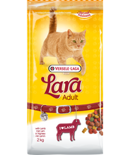 Load image into Gallery viewer, Adult with Lamb
