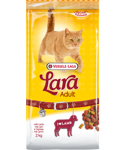 Adult with Lamb
