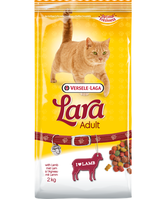 Adult with Lamb