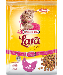 Junior