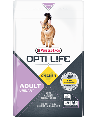 Adult Urinary Chicken