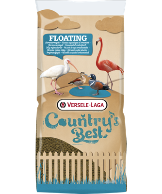 FLOATING SEA DUCK