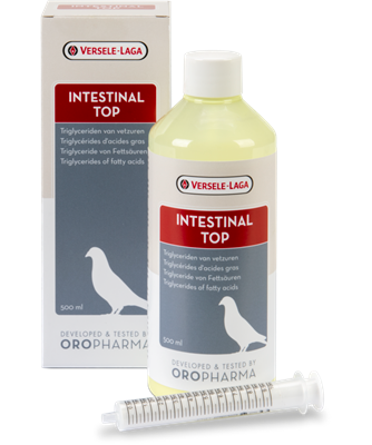 Intestinal Top