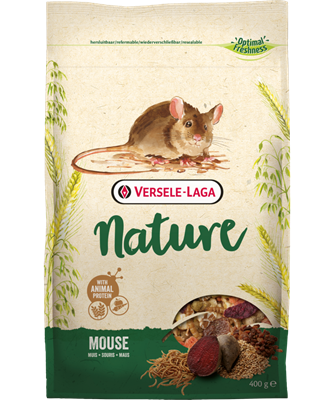 Mouse